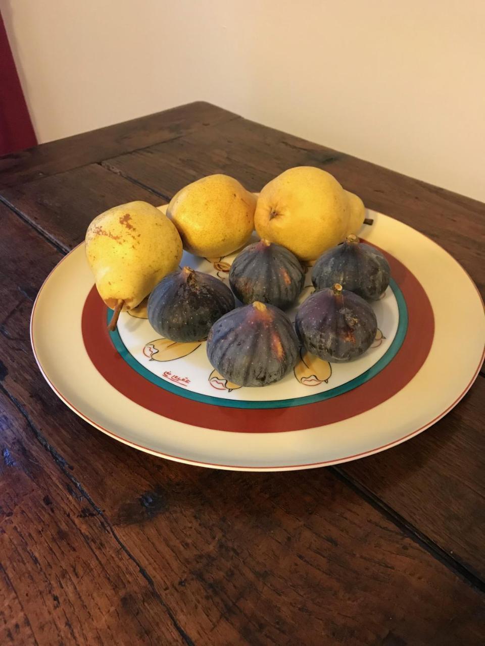 ボーヴォワザン Couleurs De Camargue Bed & Breakfast エクステリア 写真